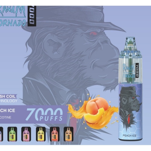 Disposable Electronic Cigarette RandM Tornado 7000 Puffs