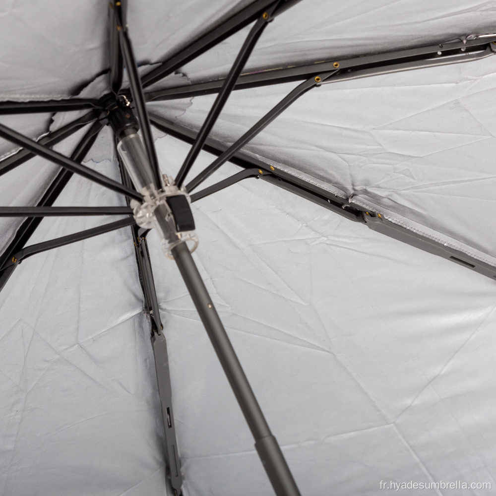 Pliage entièrement ombré de parapluie d&#39;impression de dentelle