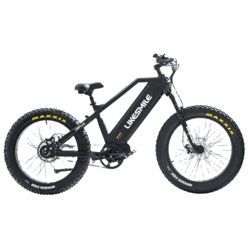 Factory Direct 48V 30AH Electric Bike for Hunting: Off-Road Bestsellers from China