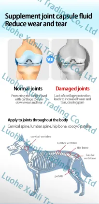 Pet Calcium Tablets with Chondroitin for Puppies and Dogs - Nutritional Supplement