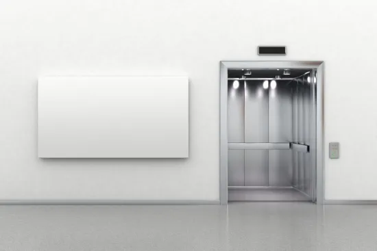Professional Passenger Elevator for Buildings