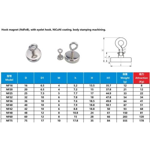Neodymium magnets online with countersunk hole and eyebolt