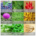 Aromatic Officinal Magnolia Bark Extract for Holistic Health