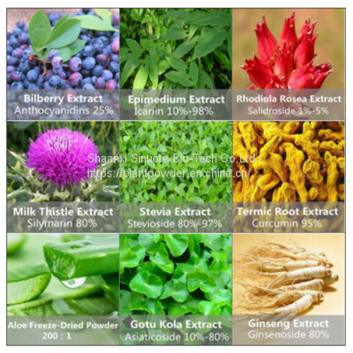 Aromatic Officinal Magnolia Bark Extract for Holistic Health