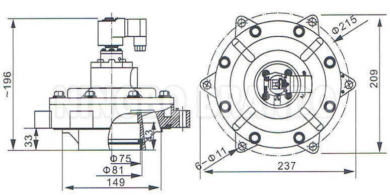 BG62MM LOGO