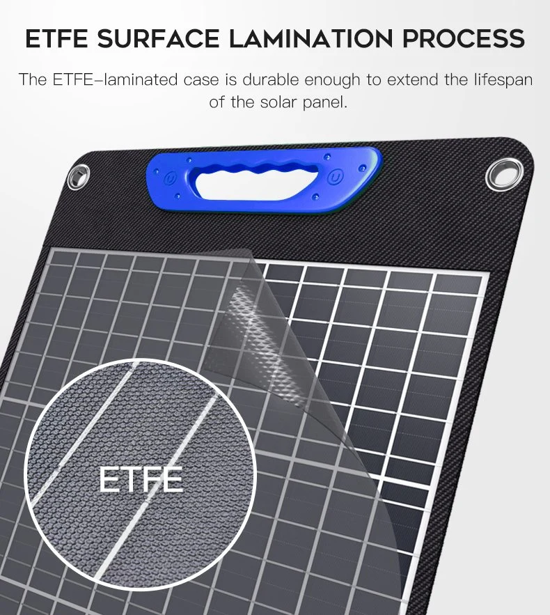 Panel solar al aire libre de Whaylan Monocrystalline ETFE