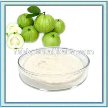 Supply 100% Natrual Pure Guava Powder