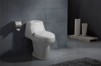 Dual Flush Siphonic One-piece Toilet (DK-ZBQ-12027)