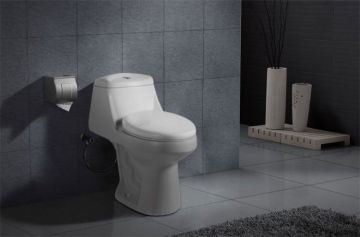 Dual Flush Siphonic One-piece Toilet (DK-ZBQ-12027)