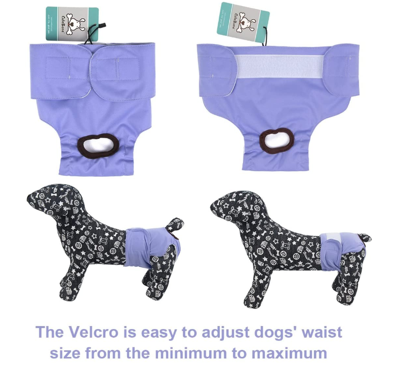 Dog Diapers Female Puppy Pants