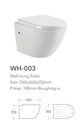 small bathroom wall hung toilet with american standard