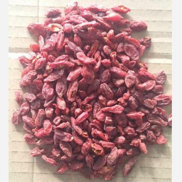 Grade B Cheap zhongning dried fruit goji berries