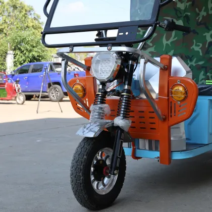 Custom E-rickshaw for South Asia