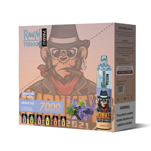 Randm Tornado 7000 Blueberry Bubblegum Vape China Fabrikant