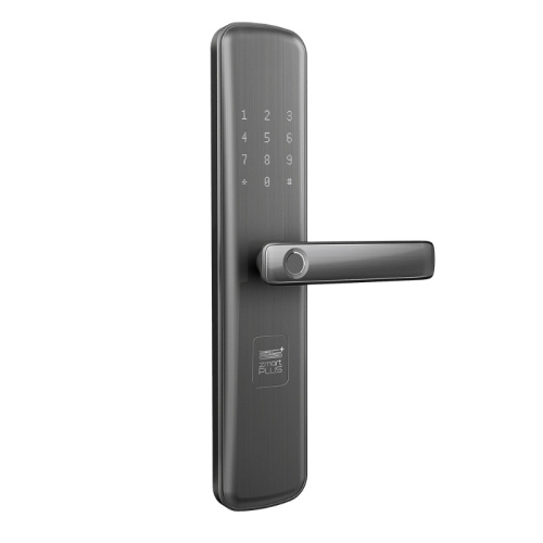 Биометрична домашна сигурност Заключване на вратата