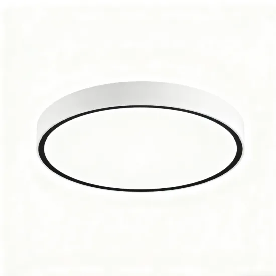 Modern LED Panel Light for Indoor Ceiling Installation