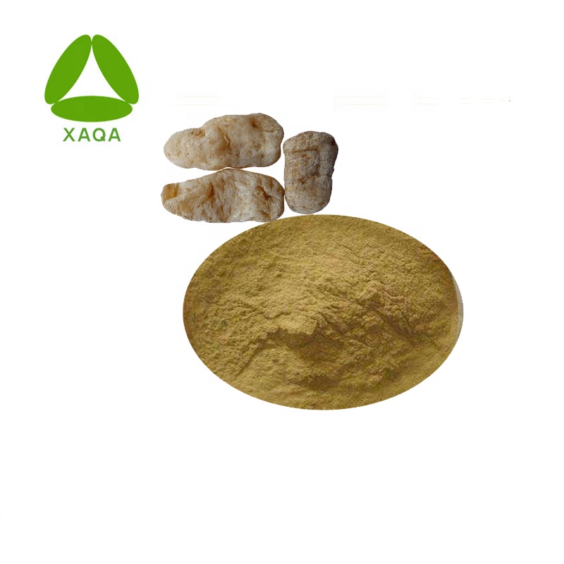 Gastrodia Elata Extraktpulver 10: 1 Gesundheitsprodukt