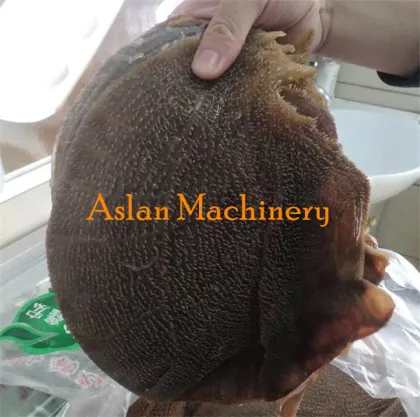 Cattle Tripe Cleaning Machine | Beef Tripe and Sheep Tripe Belly Washer