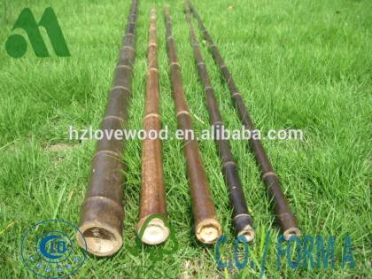 black bamboo canes/black bamboo sticks/black bamboo stakes/black bamboo poles