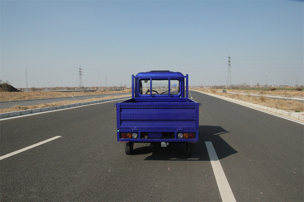 Small Cargo Box Electric Trike