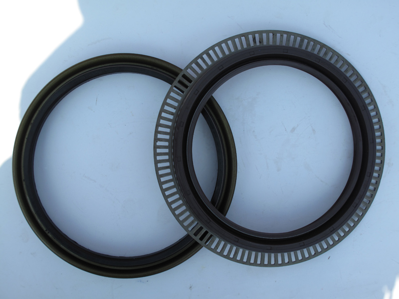 V.w. Oil Seal