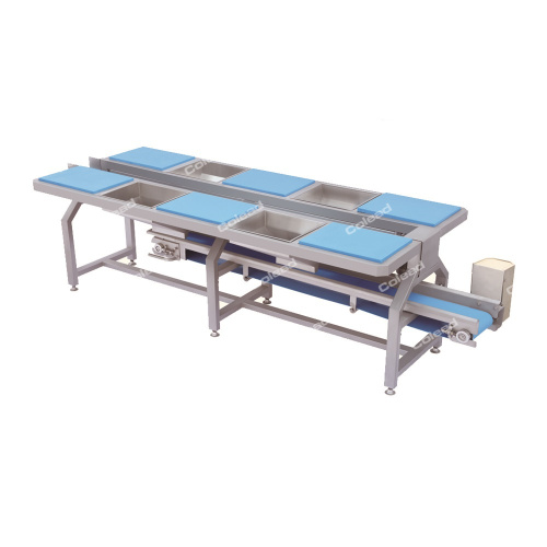 Picking And Sorting Conveyor for vegetable processing