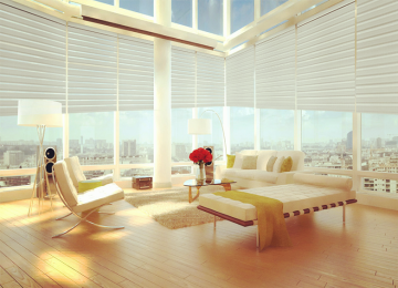 Roller Blinds Zebra Curtain Shades