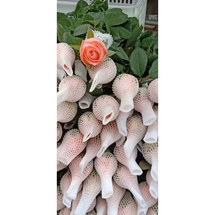 Mashine ya kutengeneza povu ya Epe