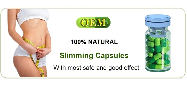 OEM/ODM Vegan Weight Loss capsules herbal supplements body slim fat cleanse fast fat burning slimming capsules