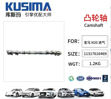 OEM Quality Factory Camshaft for BMW N20 N26 - Hot Sell Auto Parts
