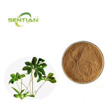 Natural Paniculata Extract Powder