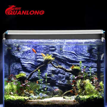 Quanlong Acquario a basso contenuto di acquario a basso costo per la barriera corallina