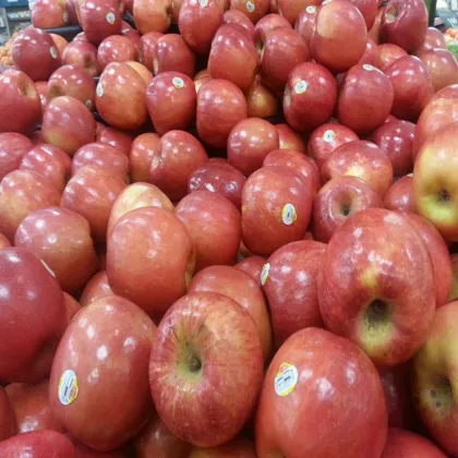 Fresh Fuji apple (long-term cooperation with India,EU,RU market )