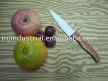 Ceramic knife ES100W-P