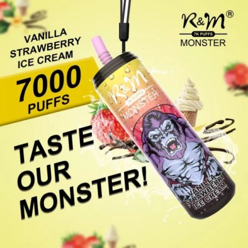 Cheapest Disposable Vape R&M Monster 7000 Puffs