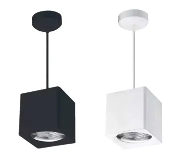 10W Led Down Light hanging for reception