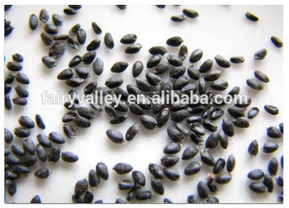 Planting White Red dragon fruit seeds/Pitaya cactus seeds/Thai dragon fruit seeds/pitaya dragon fruit seeds