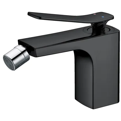 Matte Black Bidet Faucets
