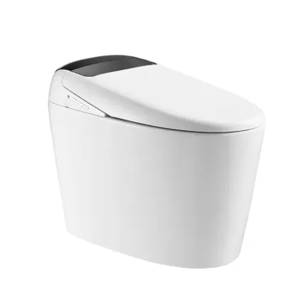 Wall-Hung Hidden Bathroom Concealed Toilet Tanks with Dual-Flush