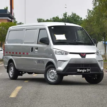 Pure Electric Enclosed Truck/Van Large Capacity 0.5 Hour Fast Charger Medium Electric Car
