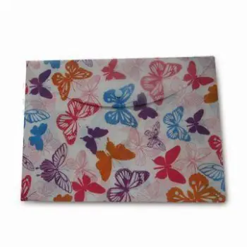 Eco-friendly PP File Folder with Butterfly Design, Suitable for School and Office Use