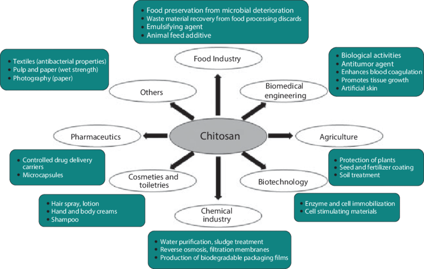 Chitosan powder bulk