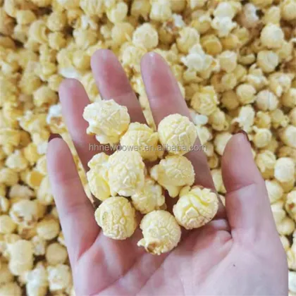 Fully Automatic Caramel Sweet Popcorn Making Machines for Snack Production Line
