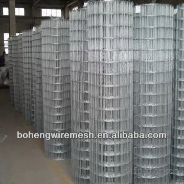 In stock galvanized and PVC welded wire mesh