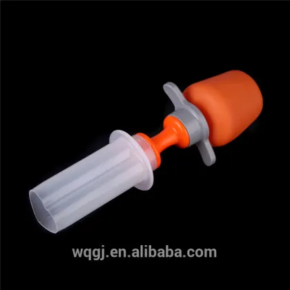 Fruit and Vegetable Decoration Chef POP Cake Push Pop