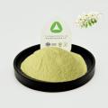 Sophora Japonica Extract Rutin NF11-95% Порошок