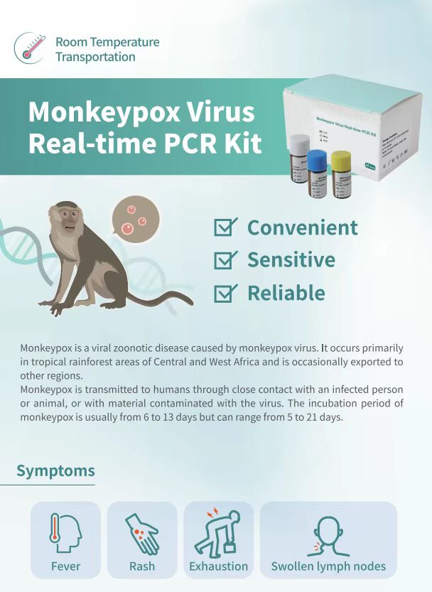 Kit de test des réactifs de PCR MonkeYPOX