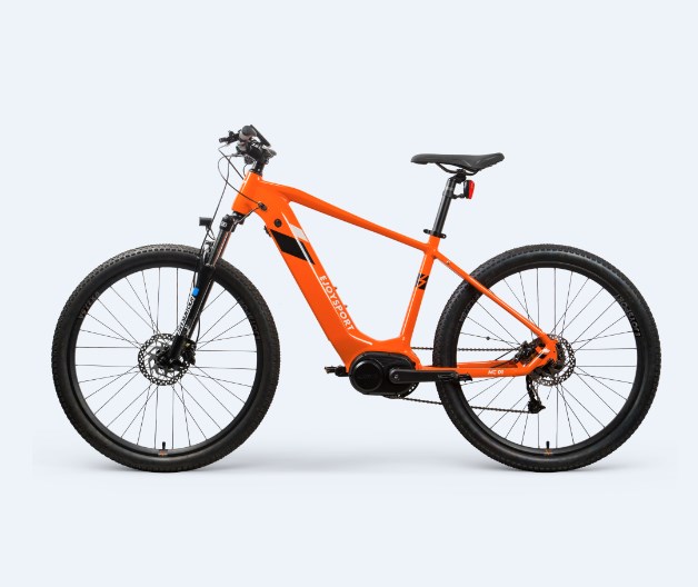 Aluguel de Ebike personalizado São Francisco