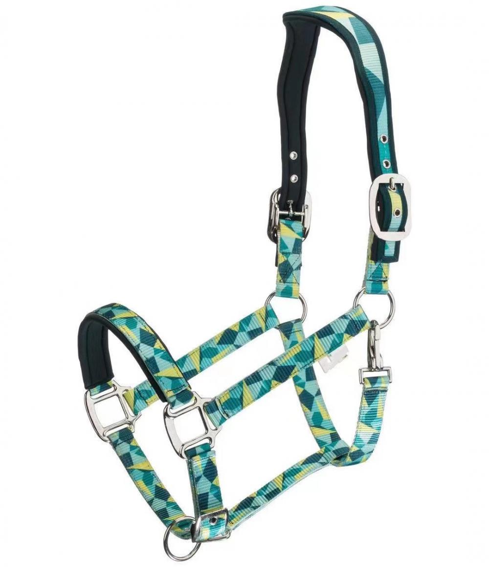 Halter de caballo de relleno ajustable Brida Equestrian