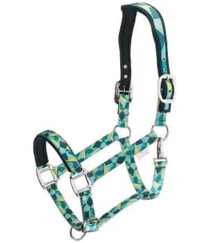 Adjustable Padding Horse Halter Bridle Equestrian